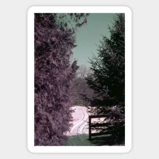 purple film photo Sticker